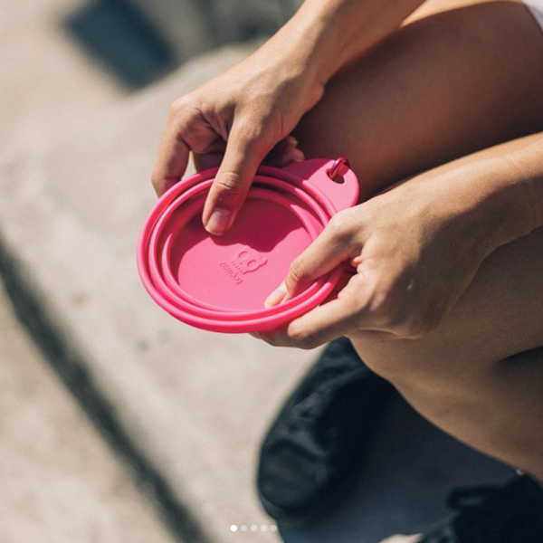 travel bowl for dog food and water in pink and black colour.