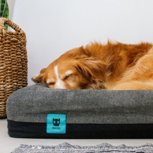 ZeeDog Κρεβάτι για Σκύλους Large - Image 3