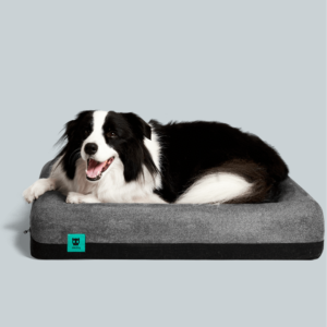 ZeeDog Κρεβάτι για Σκύλους Large - Image 5