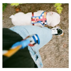 ZeeDog Σαμαράκι Σκύλου Air Mesh Blocks Large - Image 3