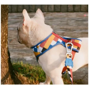 ZeeDog Σαμαράκι Σκύλου Air Mesh Blocks Large - Image 4