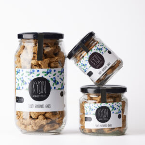 Turkey-Ginger-Blueberries - Image 5