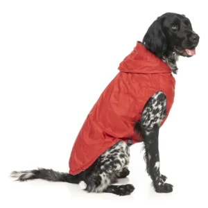 adiavroxo flipside for dogs