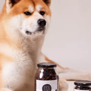 Carob – Coconut Milk – Hippophae - Image 3